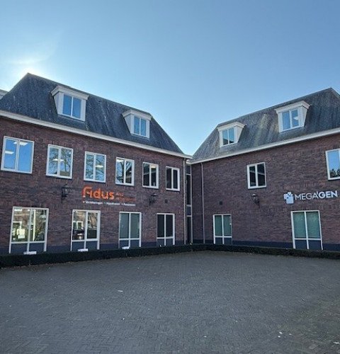 Schijfstraat 26 A | Oisterwijk