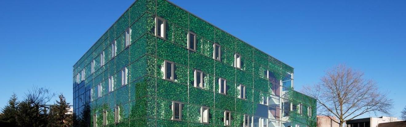 Tivolistraat 50 | Tilburg